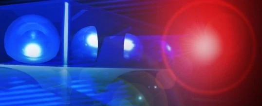 Uprava policije MUP TK - oduzeto oko 23 kilograma “Marihuane”, lišeno slobode jedno lice